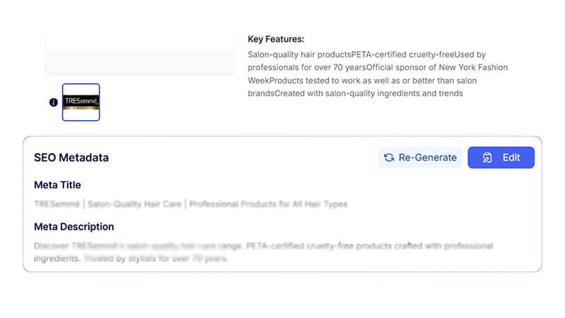 SEO Meta Details