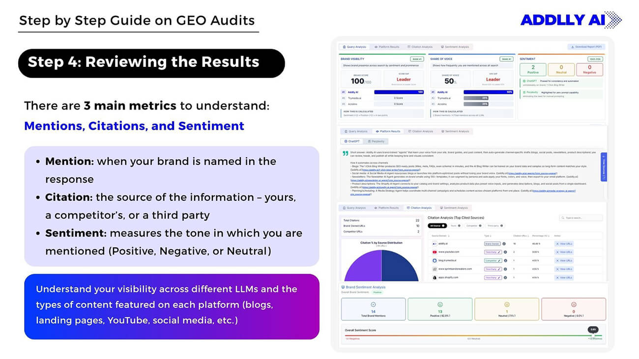 Analyzing GEO Audit Results