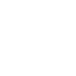 PSG Icon